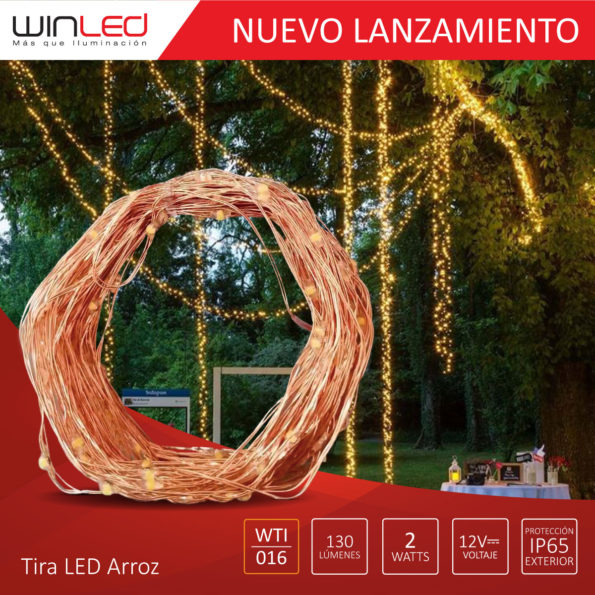 WIN- TIRA LED ARROZ 10M 2W EXTERIOR BC 12VCD