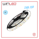 WIN- TIRA 300 LEDS 2835 5M 24W EXTERIOR BF
